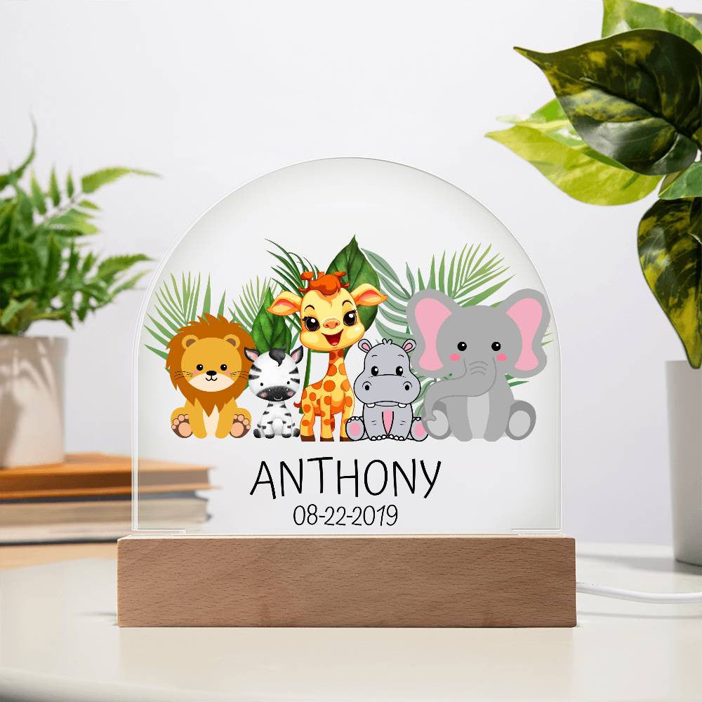 Personalized Children  Birthday Acrylic Dome Plaque