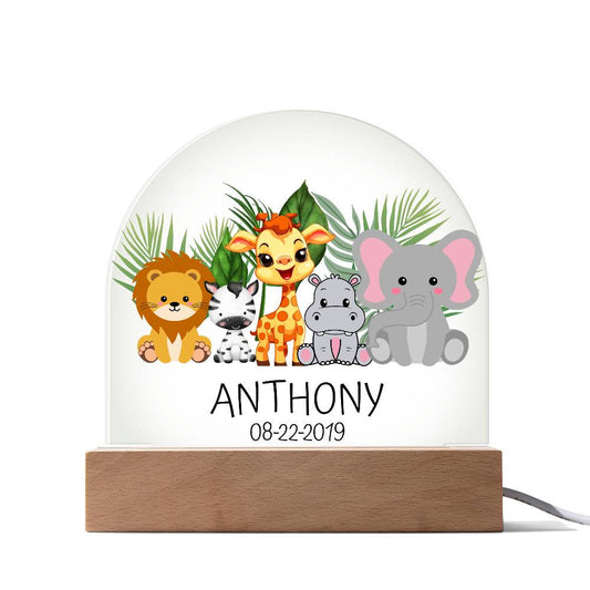 Personalized Children  Birthday Acrylic Dome Plaque