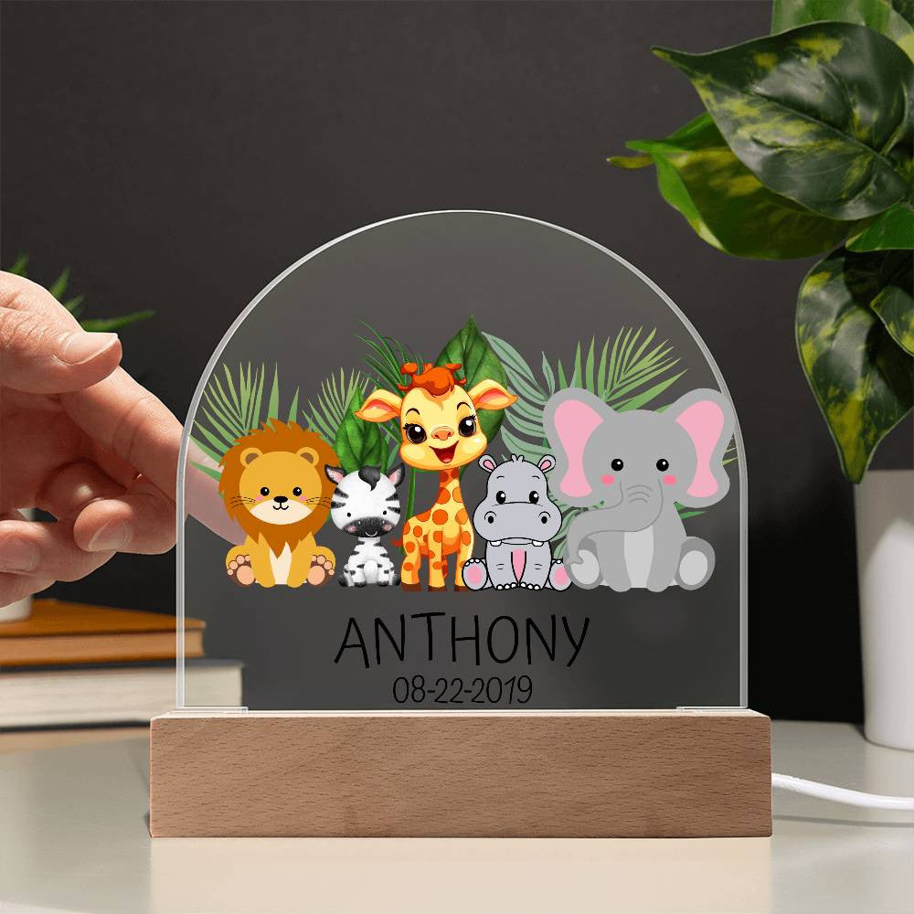 Personalized Children  Birthday Acrylic Dome Plaque