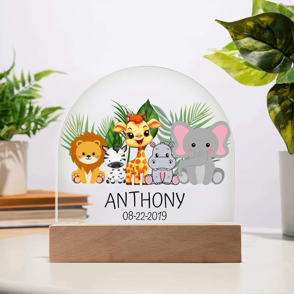 Personalized Children  Birthday Acrylic Dome Plaque