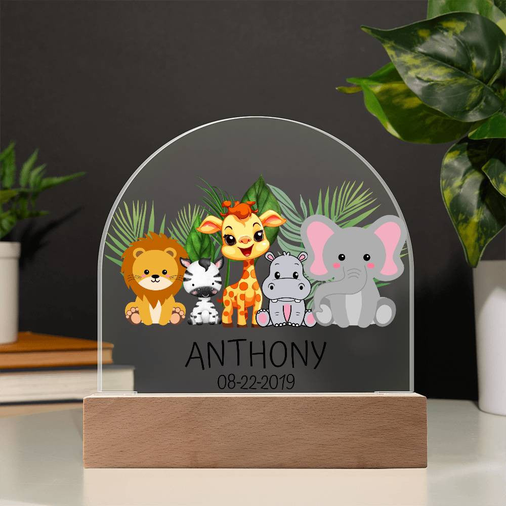 Personalized Children  Birthday Acrylic Dome Plaque